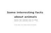 Some interesting facts about animals