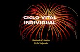 Clase 2 B Ciclo Vital Individual