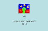 3B Hopes and Dreams