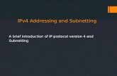 IPv4 addressing and subnetting