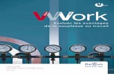 VWork: Evaluer les avantages de la souplesse au travail