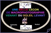 Leçons de macrophotographie