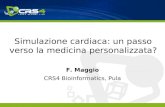 Simulazione Cardiaca: un passo verso la medicina personalizzata?