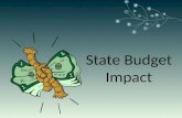 State budget impact 01 15-11 steve bodnar wsu presentation january 8, 2011