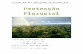 Protecção florestal
