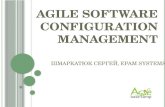 Agile software configuration management