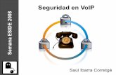 Seguridad en VoIP