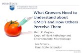 What Growers Need to Understand About GMOs