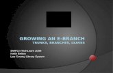 Growing An E Branch