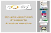 EOSSY, un groupement d'experts à votre service