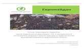 Odf euromaydan report_ru