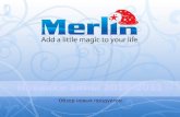 Merlin Digital New products of winter 2010-2011