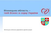 Vinnytsia investments (UA) 2010