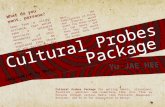 디자인상상 [20121588 유 재 희] cultural probes packge