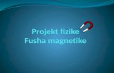 Fusha Magnetike