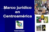 HONDURAS COURSE - Marco juridico en centroamerica / Noelia Rodriguez