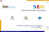 CMS Brasil 2009 - Seo para CMS Open Source