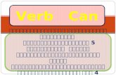 การสอน Verb can