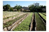 Permaculture & Worm Composting - Part 2 - Biospheric Project
