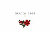 GANDIA  2008