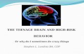 Alcohol. Drugs And High Risk Teen Behavior