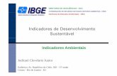 Indicadores de desenvolvimento sustentável ibge 2008