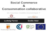 Social commerce et cons.coll.