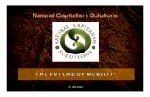The Future of Mobility by Hunter Lovins