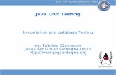 Java Unit Testing - In container and database testing