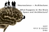 [N+A, The Seed] 신경과학, 건축을 만나다. 정재승 (KAIST 바이오및뇌공학과 교수)