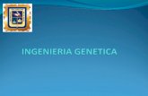 Tema 4 ingeniería genética