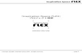Flex Projectplan 090626