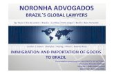 Immigration and Importation of Goods to Brazil