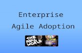 Enterprise agile in real world