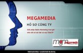 Megamedia about us - 2012