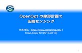 OpenOpt の線形計画で圧縮センシング