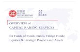 Capital Raising Services