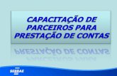 CAPACITAÇÃO PARCEIROS - PRESTACAO DE CONTAS - 14 10 09