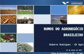 Agrocafé  Runos do Agronegócio Brasileiro - palestra Roberto Rodrigues