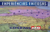 Revista COSEMS/MG - Experiencias