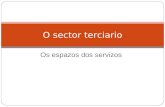 O Sector servizos en España