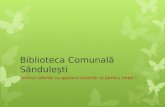 Biblioteca Comunală Sănduleşti: Servicii cu şi pentru tineri