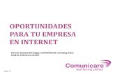 Oportunidades para tu empresa en Internet (Omexpo 2011)