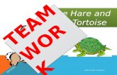 The hare and the tortoise retold - Team building exercise...
