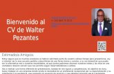 WALTER PEZANTES CV ESPAÑOL 2013
