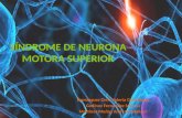 Síndrome de neurona motora superior