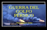 Guerra del golfo pérsico