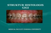 Histologi Gigi