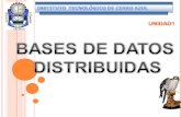 Unidad1 Bases De Datos Distribuidas