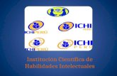 Explicacion del programa ICHI Perú Sur SAC